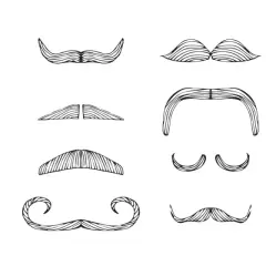 En samling illustrationer av olika mustasch-stilar. Varje mustasch har ett unikt namn, från klassiska till mer fantasifulla former.