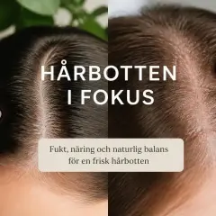 Två närbilder av hårbotten, en mörk och en ljus. Texten "Hårbotten i fokus" och "Fukt, näring och naturlig balans för en frisk hårbotten" antyder att bilden visar en sårig hårbotten som behöver vård.
