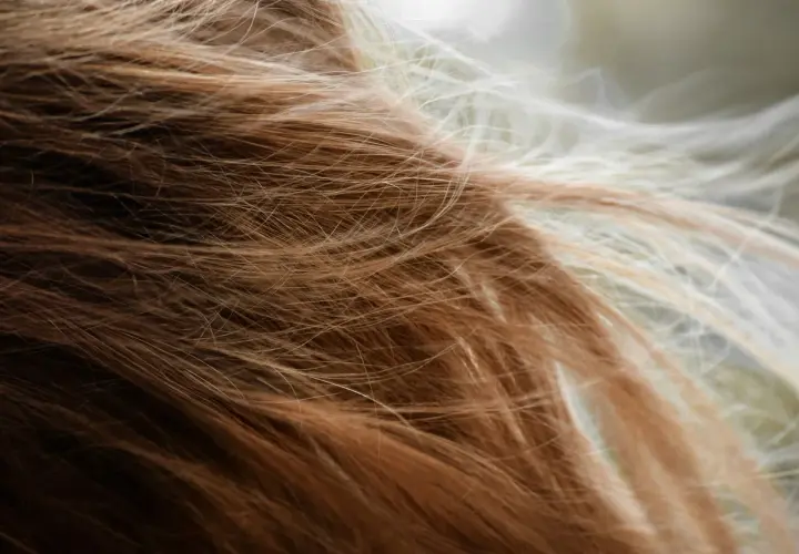 Närbild på brunt och blont hår som fladdrar, en påminnelse om håravfall under klimakteriet.