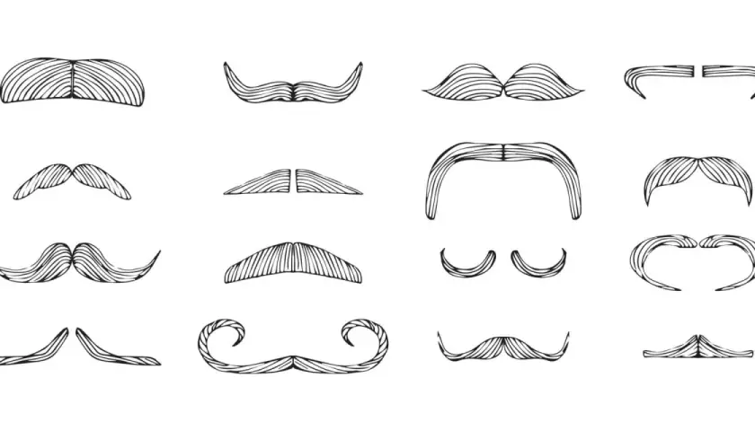 En samling illustrationer av olika mustasch-stilar. Varje mustasch har ett unikt namn, från klassiska till mer fantasifulla former.