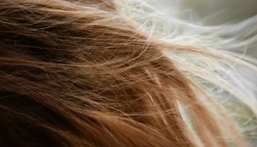 Närbild på brunt och blont hår som fladdrar, en påminnelse om håravfall under klimakteriet.