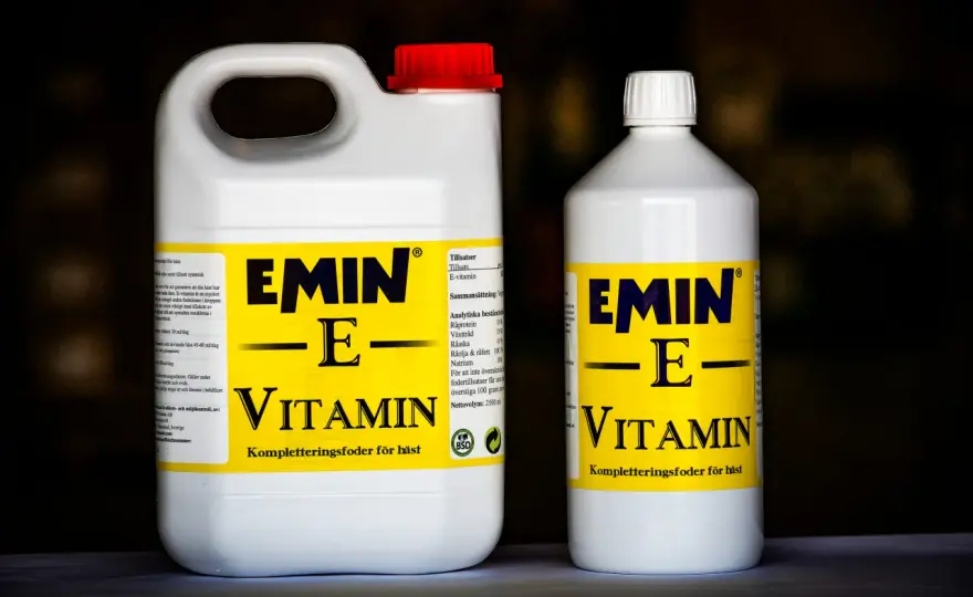E-vitamin - Mer än bara en antioxidant? Hela guiden!