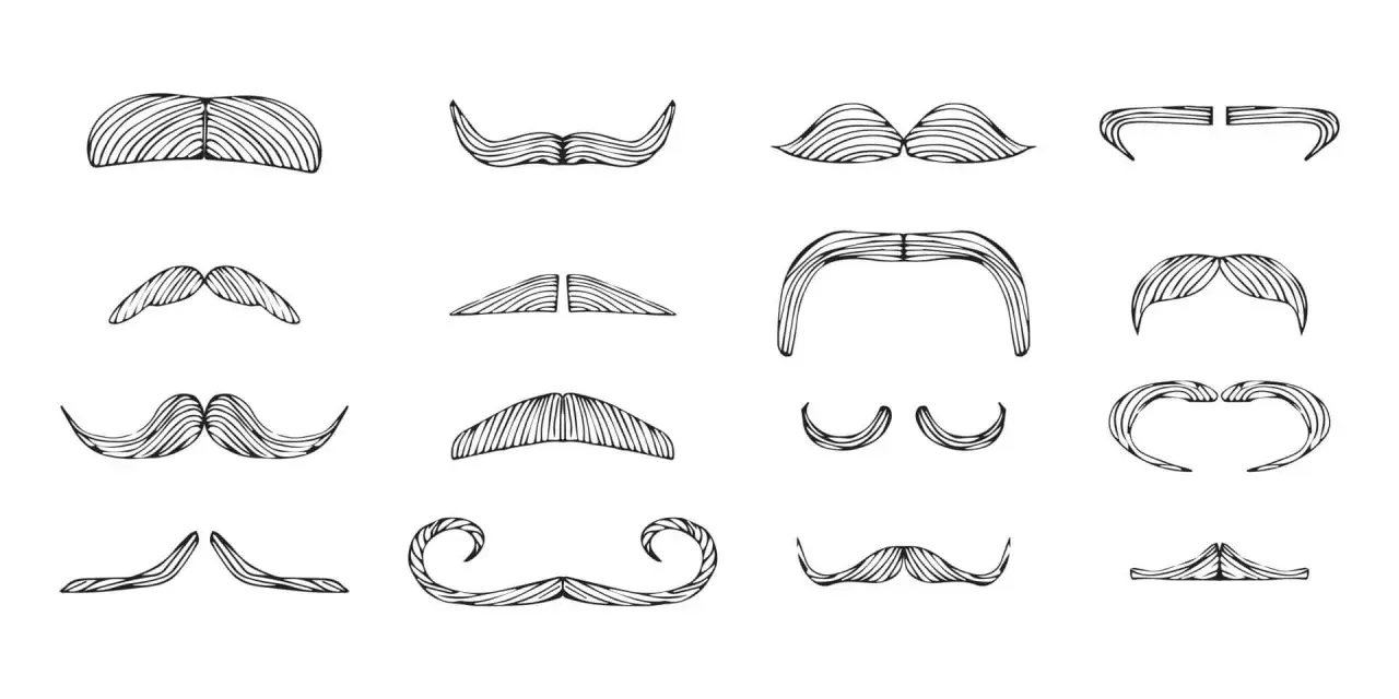 En samling illustrationer av olika mustasch-stilar. Varje mustasch har ett unikt namn, från klassiska till mer fantasifulla former.