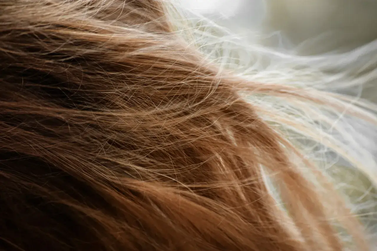 Närbild på brunt och blont hår som fladdrar, en påminnelse om håravfall under klimakteriet.