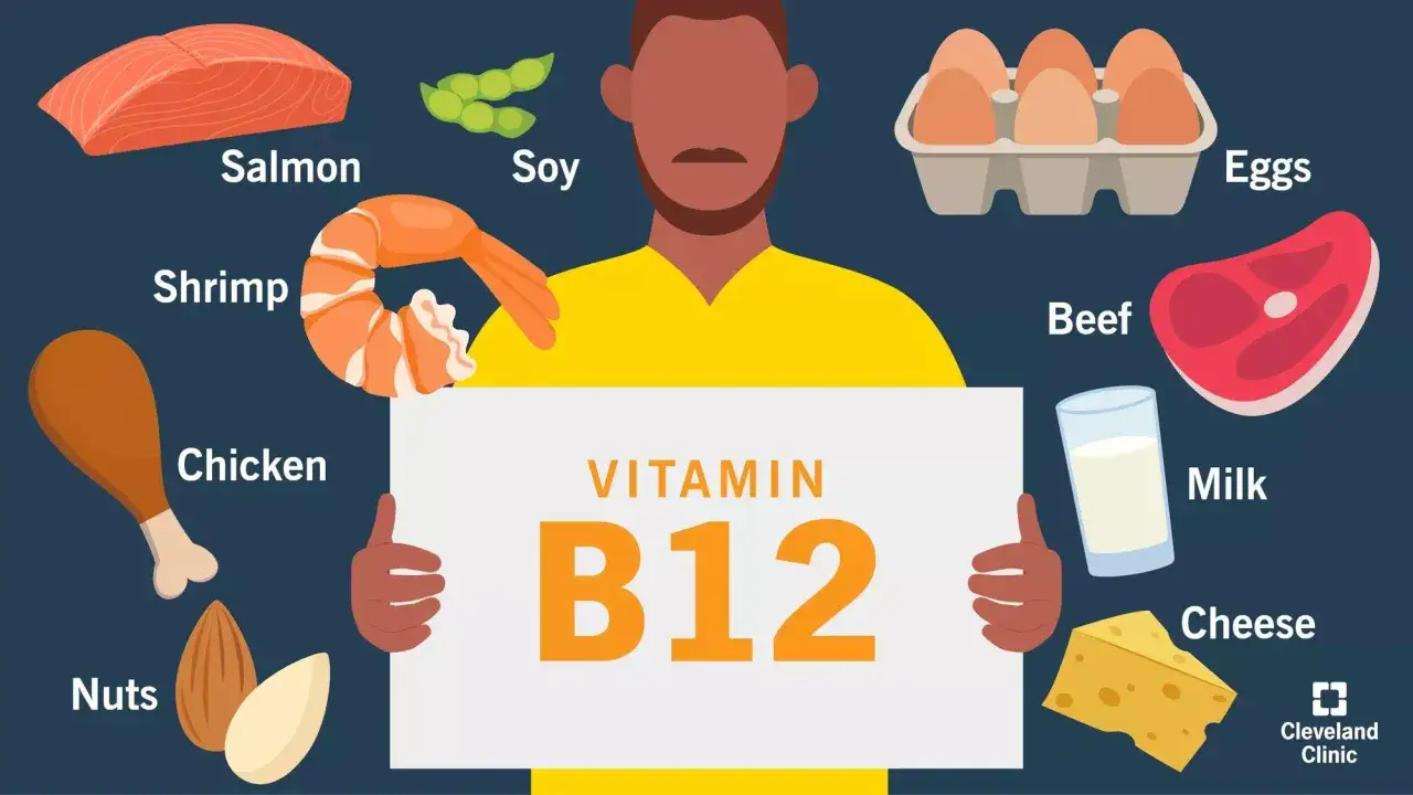 En illustration visar livsmedel rika på vitamin B12: lax, räkor, kyckling, nötter, sojabönor, ägg, nötkött, mjölk och ost.